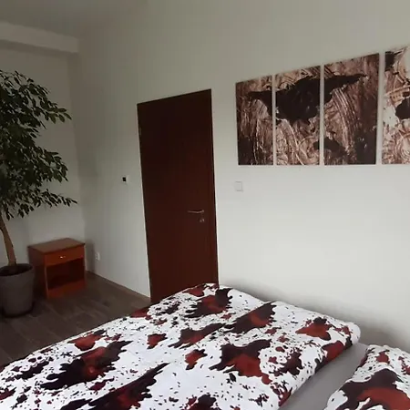Singles 公寓 Litoměřice